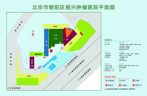 使劲操啊啊啊用力操北京市朝阳区桓兴肿瘤医院平面图